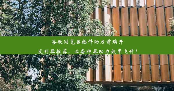 谷歌浏览器插件助力前端开发利器推荐，必备神器助力效率飞升！