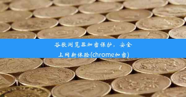 谷歌浏览器加密保护，安全上网新体验(chrome加密)