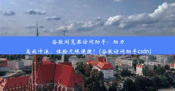 谷歌浏览器访问助手：助力高效冲浪，体验无限便捷！(谷歌访问助手csdn)