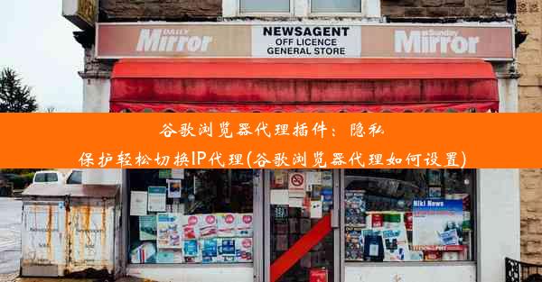 谷歌浏览器代理插件：隐私保护轻松切换IP代理(谷歌浏览器代理如何设置)