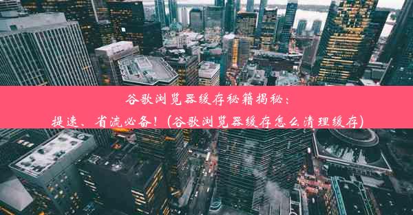 谷歌浏览器缓存秘籍揭秘：提速、省流必备！(谷歌浏览器缓存怎么清理缓存)