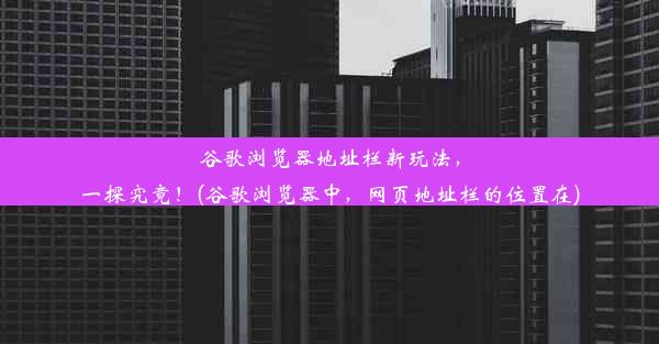 谷歌浏览器地址栏新玩法，一探究竟！(谷歌浏览器中，网页地址栏的位置在)